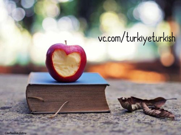 ⚡ #kelime@turkiyeturkish - лексика, словарный запас ;